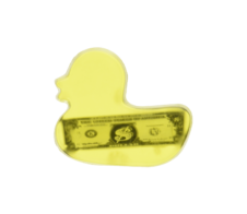 Money In Duck Soap product photo